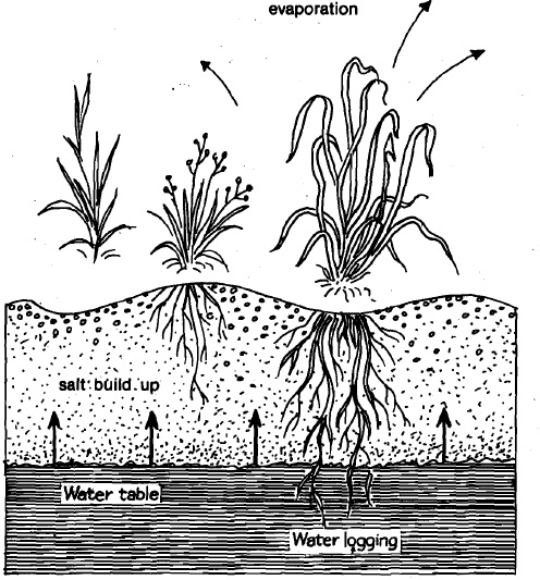 2107_water logging.jpg